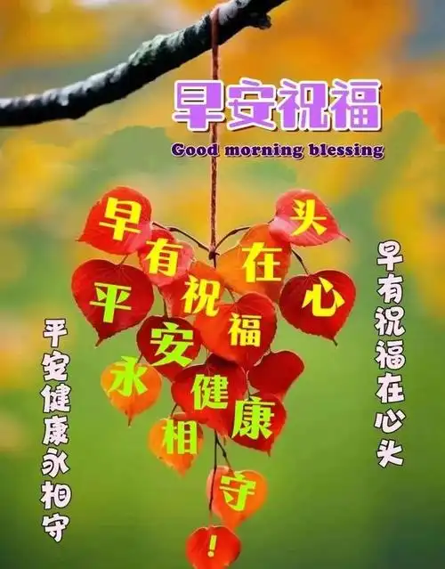 11月7日最新温馨早安祝福图片带字,群发暖心的问候祝福语大全