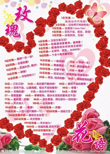 玫瑰花语源文件
