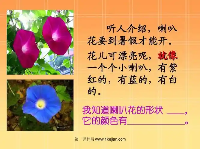 喇叭花 ppt(沪教版) 听人介绍, 听人介绍,喇叭 花要到暑假才能开.