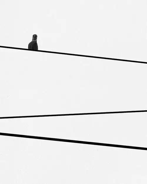 一组令人舒适的极简主义图像