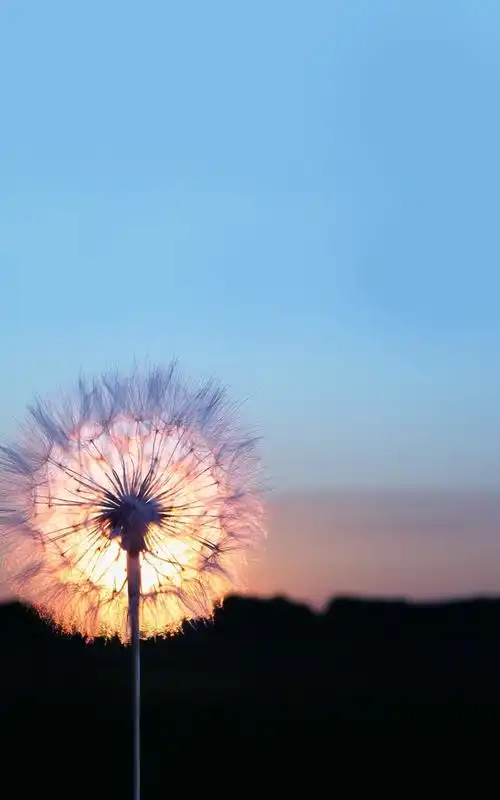 简约唯美好看的风景高清大图手机壁纸