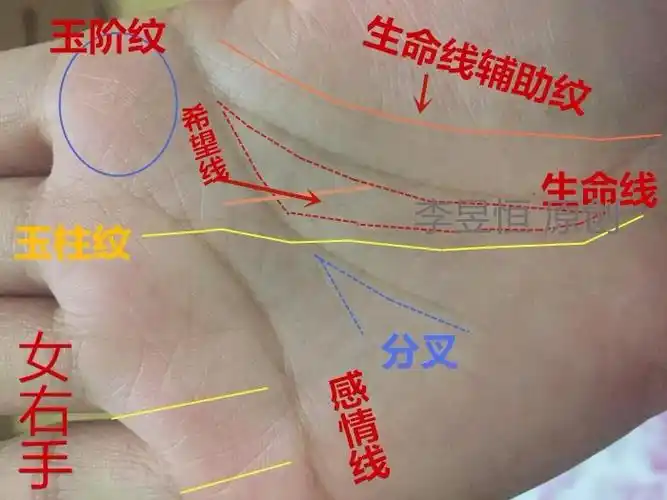 手相中生命线的解释之三双重生命线具有逢凶化吉的功能