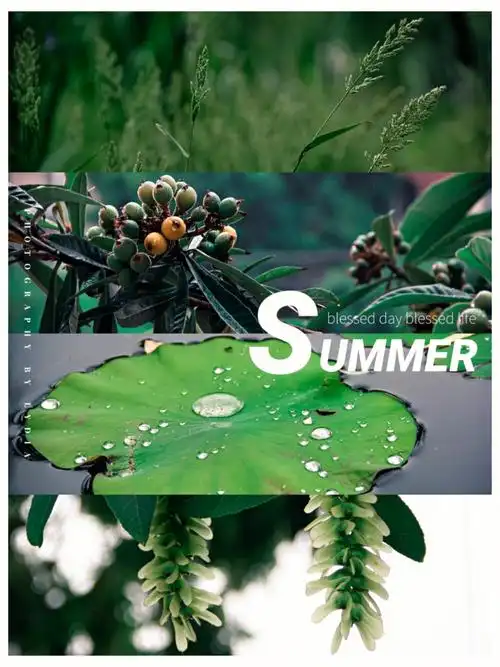 平凡摄影lr调色电影氛围感森系墨绿色调