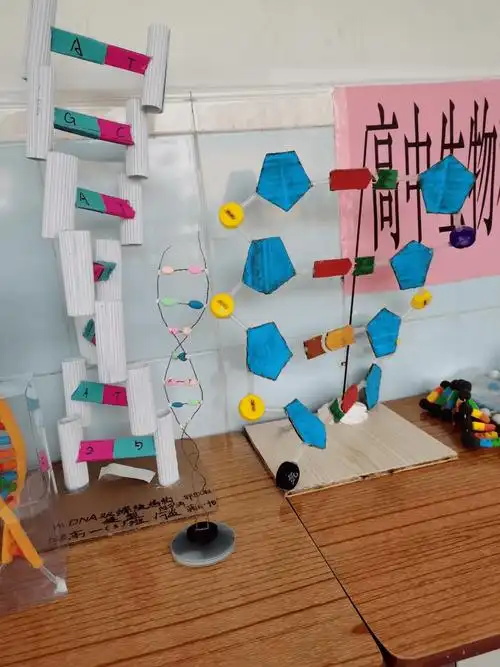 高中生物科组模型制作(一)|dna双螺旋结构模型制作大赛_活动_褚万新