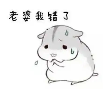 哄老婆专用仓鼠表情包合集老婆大人对不起