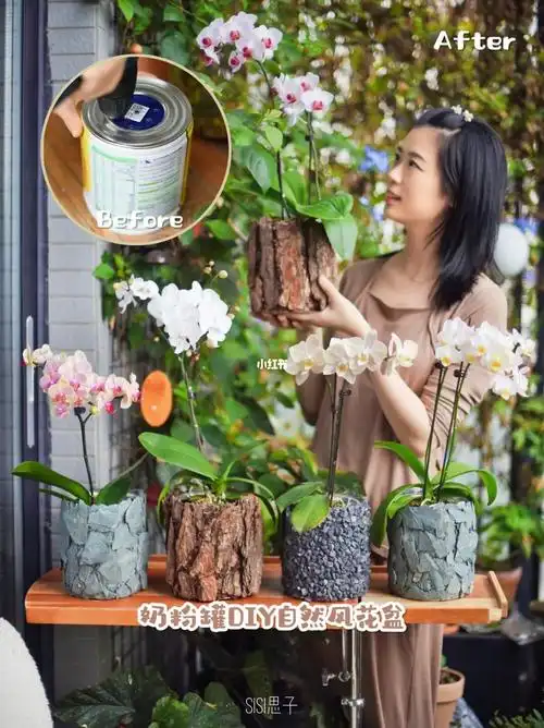 虽迟但到00奶粉罐diy自然风花盆清单来了
