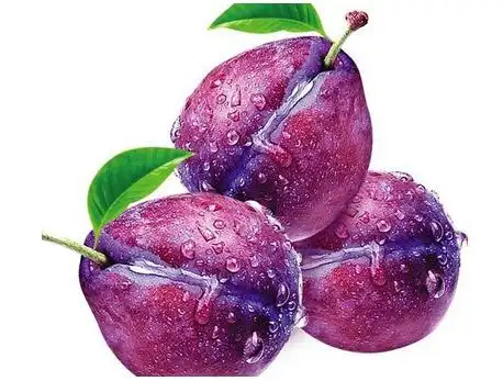 酸梅与乌梅的区别,乌梅是酸梅吗图片,酸梅能放在绿茶里泡吗