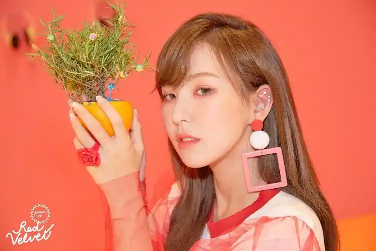 wendy - 堆糖,美图壁纸兴趣社区