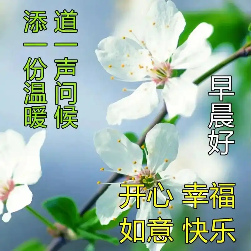 周四清晨暖心早安问候语句 早上发微信最美早上好祝福图片 1. 早上好!