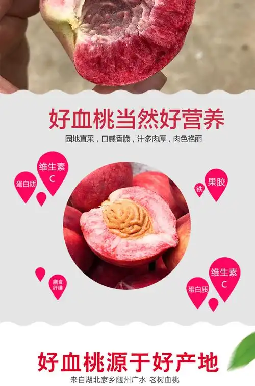 顺丰速运精选头茬果现货湖北胭脂红血桃大果当季现摘现发桃子孕妇新鲜