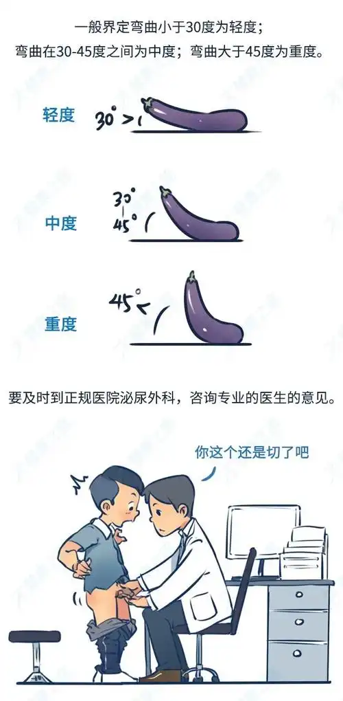 18禁丨传说男人的丁丁分2种中看和中用你属于哪种