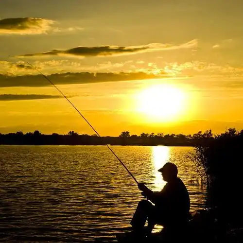 乡野垂钓日记头像