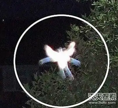 外星人真实存在地球上证据全球外星人事件真实案例