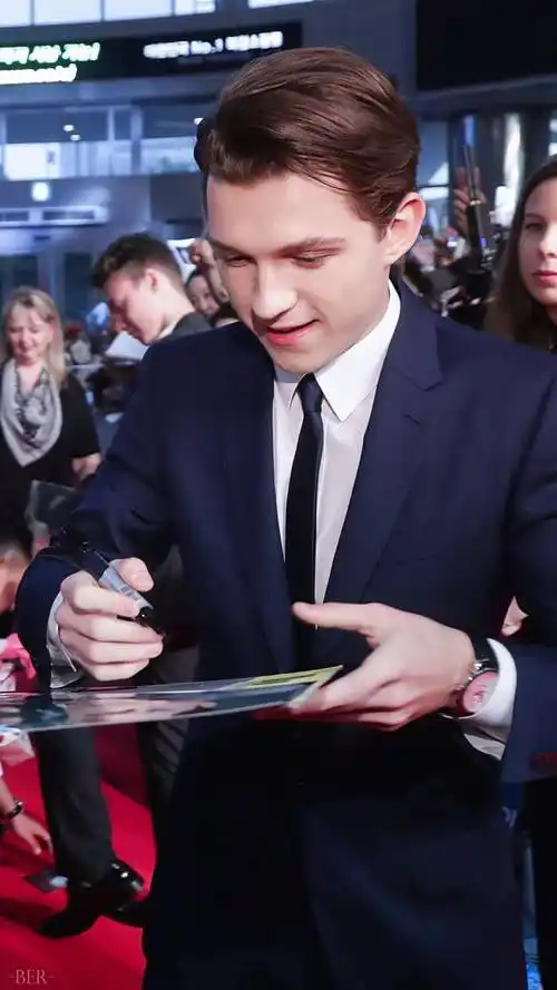 汤姆赫兰德78可爱的荷兰弟