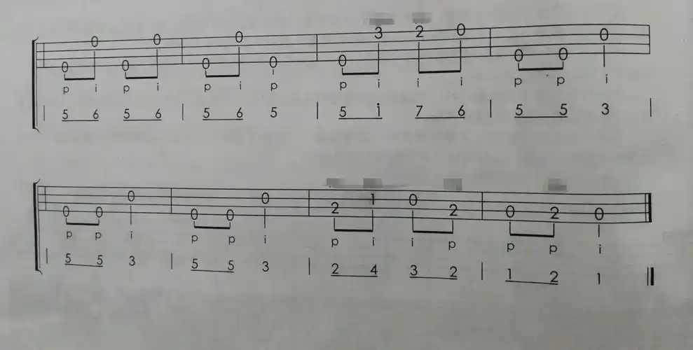 3.31尤克里里d班