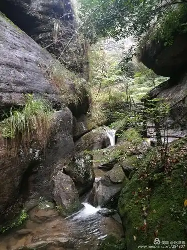 天心岩禅寺,九龙窠大红袍祖庭,探寻武夷岩茶岩骨花香