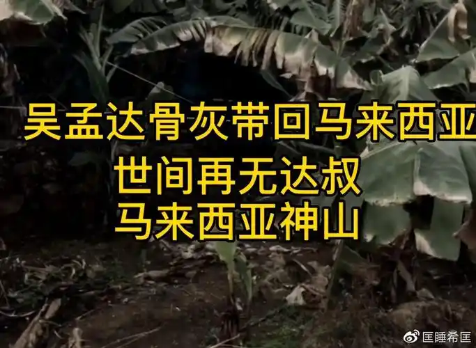 吴孟达大马墓地实景曝光墓园风景很好环境优雅秀丽