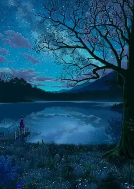 星空下孤独女孩背影动漫图片