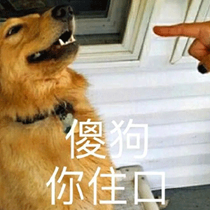 【表情包】沙雕表情包-斗图吧