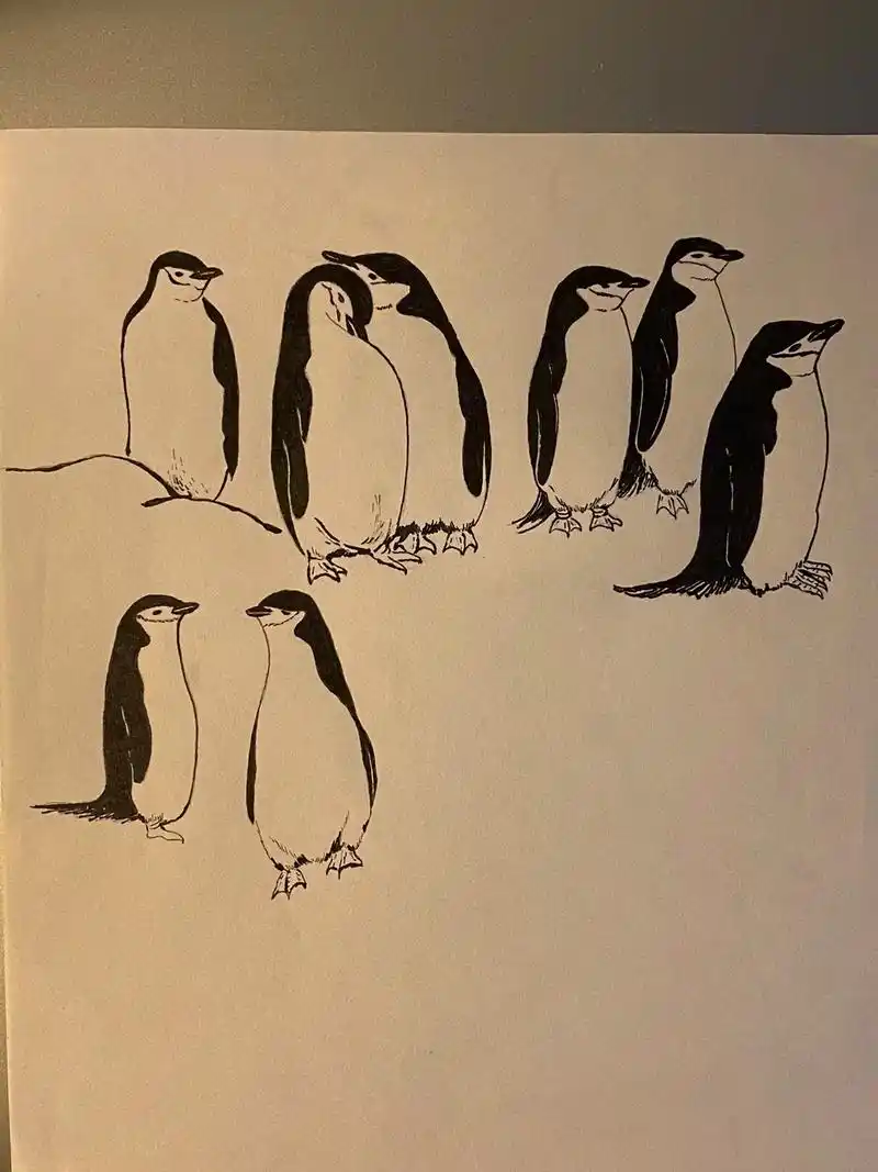 画 #画画 #黑白装饰画 #线描 #钢笔画 - 抖音