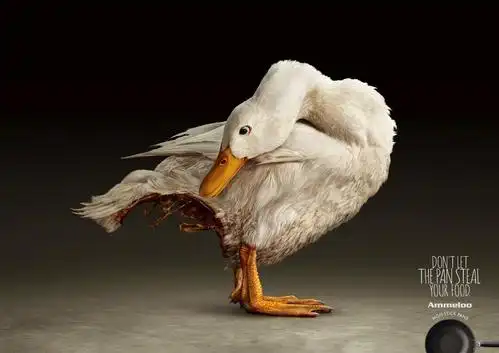 3月全球创意海报合集你的灵感来源