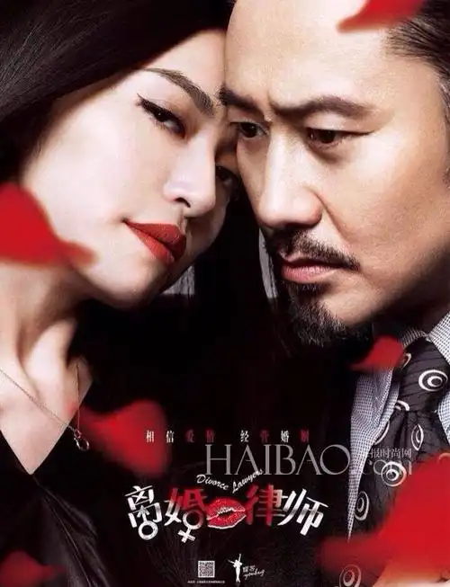 电视剧《离婚律师》剧照