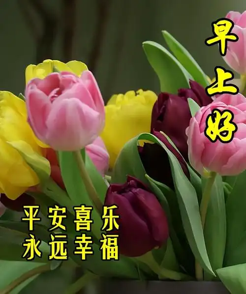早安图片(十)|祝你平安快乐,顺心如意!