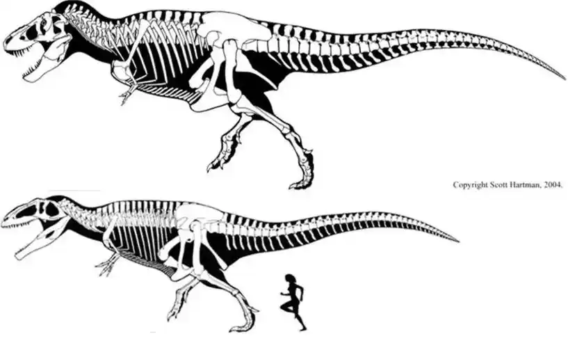 如果被霸王龙追着跑你能否逃脱龙口