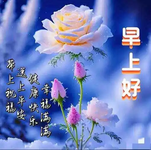 2024年1月9日周二早安祝福语星期二早上好问候图片
