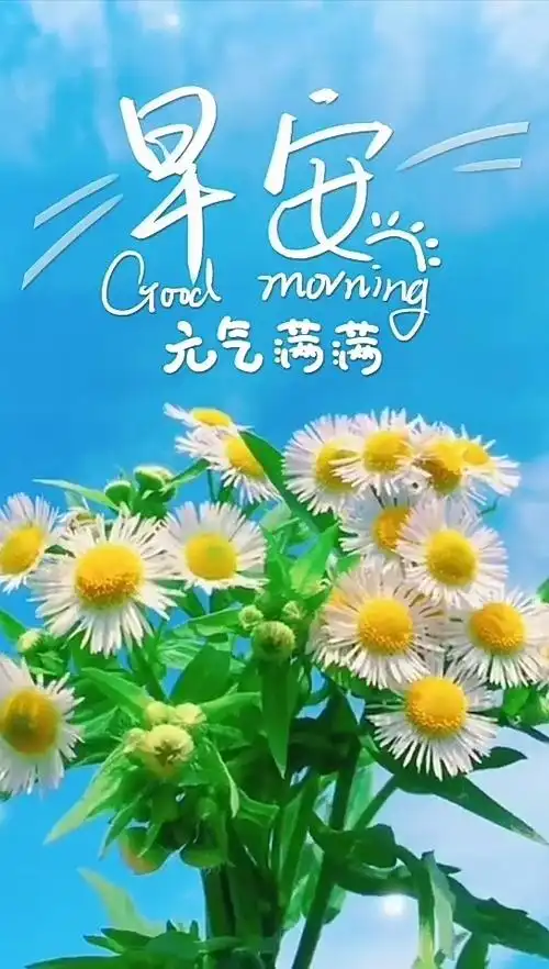 美好的一天从好心情开始,大家早上好!