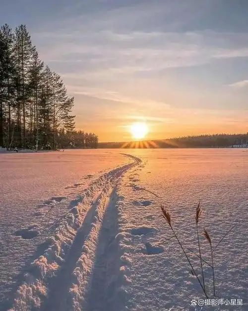 雪景的层次感还体现在雪地上的脚印.