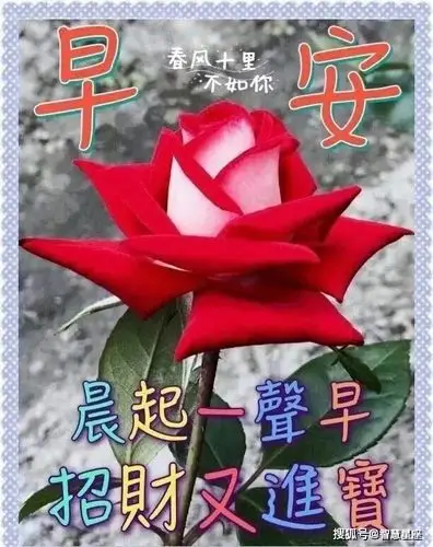 原创6月14日微信最美早上问候语图片表情微信群送亲人的早安祝福