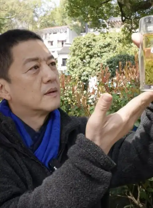 李亚鹏娇妻温柔大气全网获赞网友鹏哥能翻身多亏娶了你