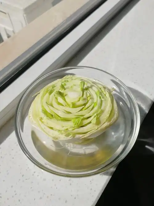 我把春天种出来