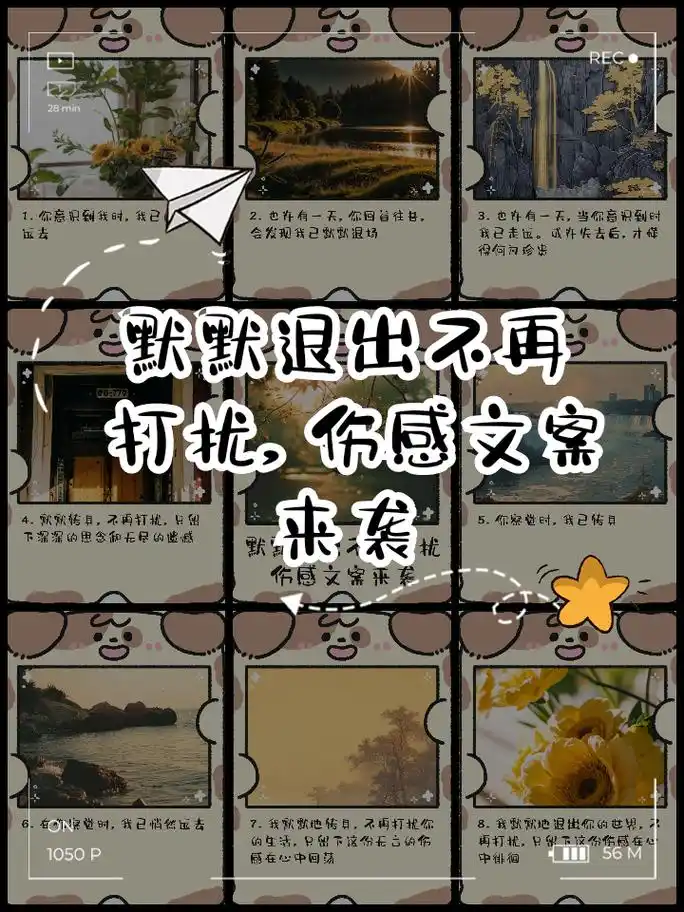 默默退出不再打扰,伤感文案来袭