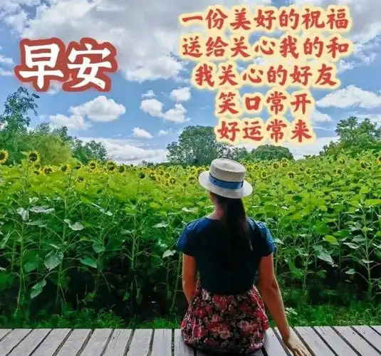 夏日温馨的大家早上好问候语图片精选_放平