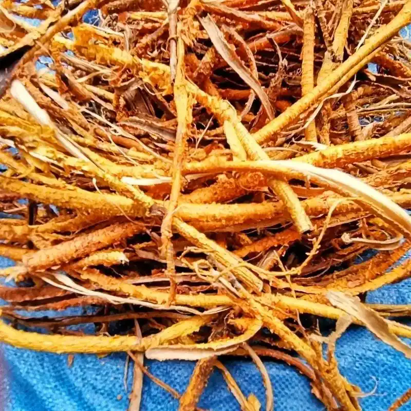 中草药.中药材 穿破石纯根皮 九层皮 山荔枝小柘树根皮 - 抖音