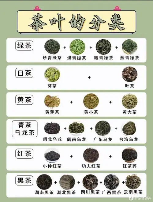 喝茶必看—中国六大茶类