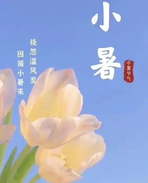 小暑节气创意好看的早安早上好图片祝福语 小暑节气免打字朋友圈早安