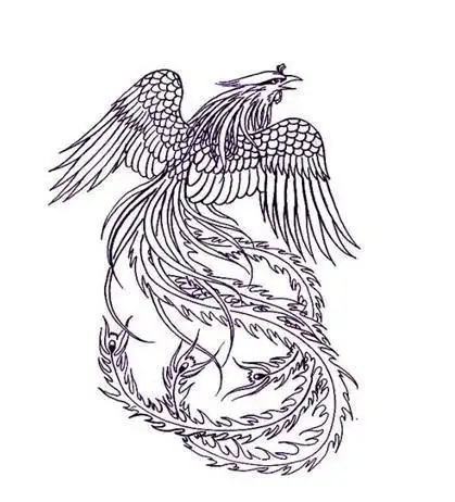 火凤凰怎么画真实凤凰简笔画小学生简笔画凤凰凤凰简笔画图片大全简笔