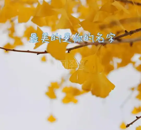 风景创意朋友圈封面图