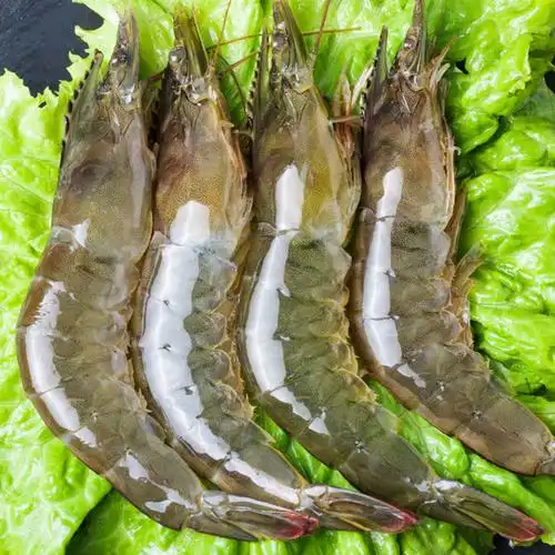 【特价中】特大号虾批发虾子大虾鲜活批发青虾活虾鲜冻虾一箱大虾