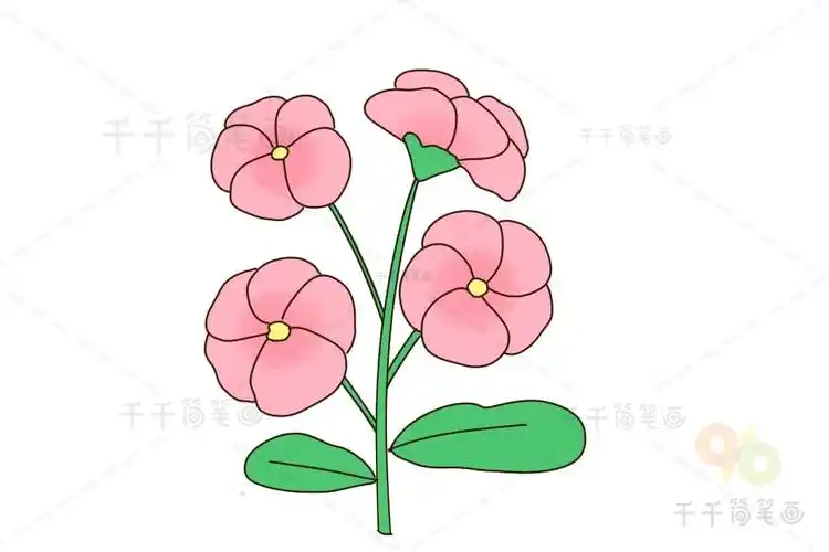 木芙蓉简笔画亲子绘画花朵