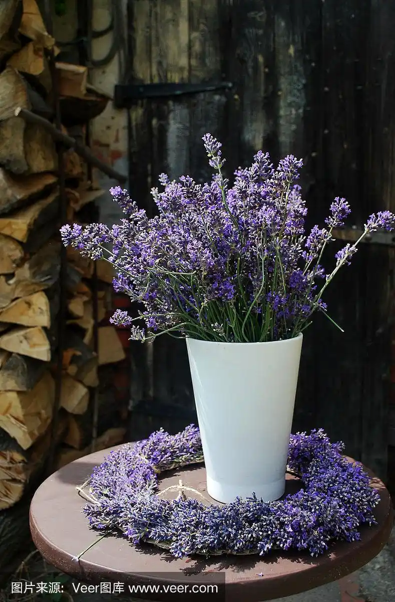 薰衣草花束