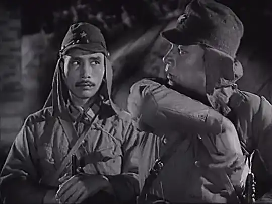 平原游击队的剧照