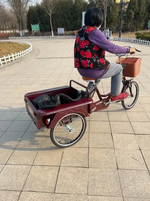 新款纯斗脚蹬三轮车双链条人力老年三轮车🛺-度小视