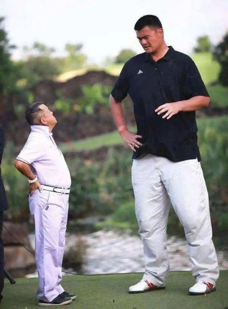 29米,大家可能对这身高也没什么概念,但是一看普通人和姚明合影,这