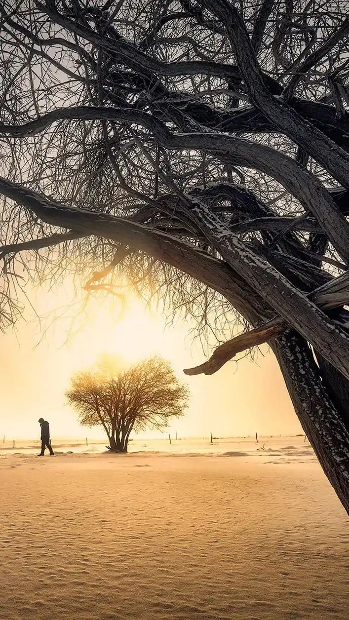 北国风光.乌兰布统,塞罕坝上草原的冬天极度寒冷,可是不管温度 - 抖音