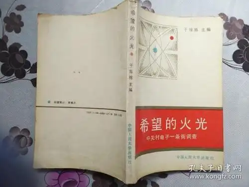 希望的火光:中关村电子一条街调查