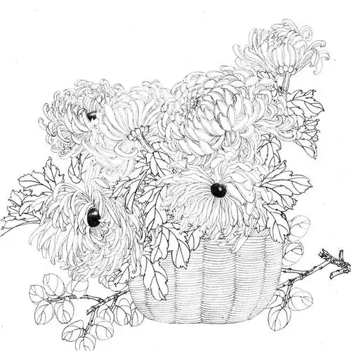 你想要的工笔花鸟白描线稿都在这了